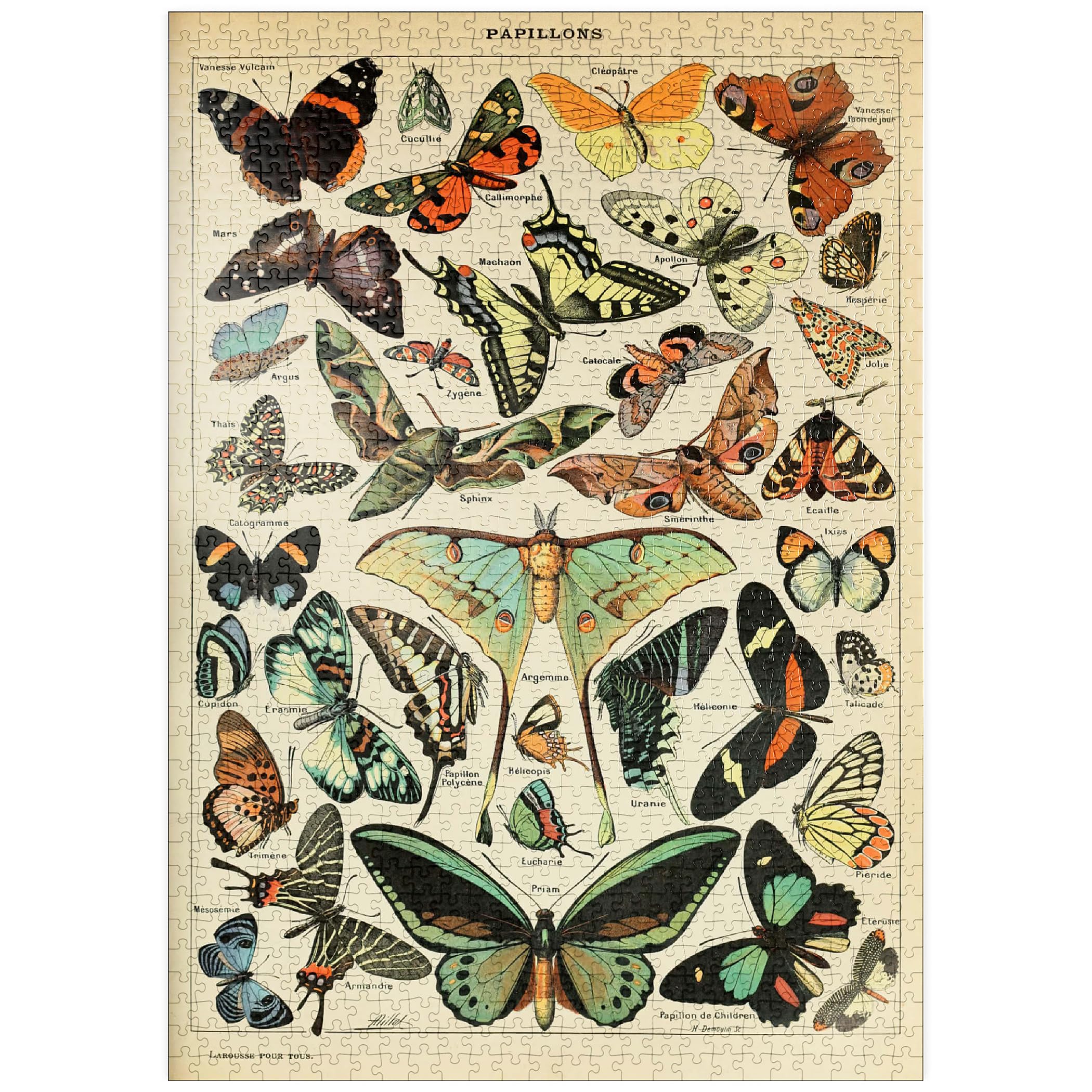 Magnifique Papillons - des Papillons pour Tous, Affiche d´art Vintage, Adolphe Millot - Premium 1000 Pièces Puzzle - Collection spéciale MyPuzzle de Havana Puzzle Company zwtvYiD83 véritable contre